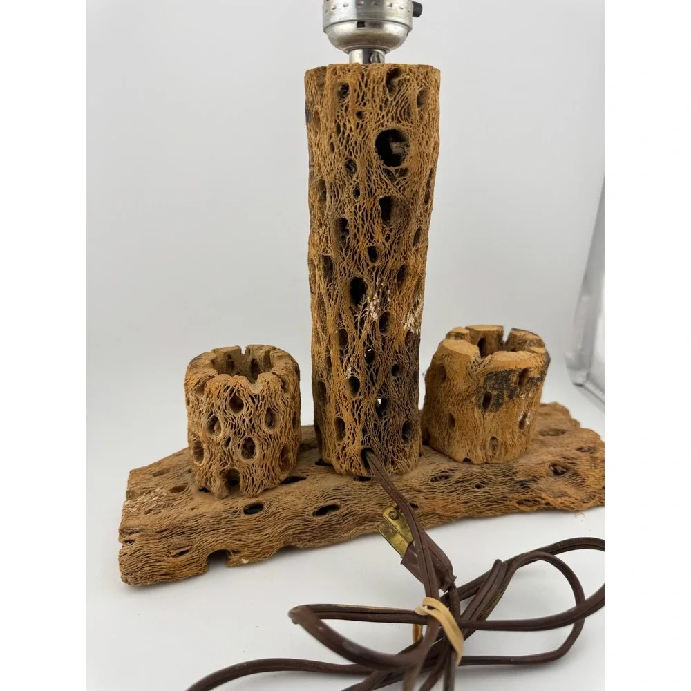 Cholla Cactus Lamp Rustic Desert‎ Decor Table Lamp Unique Accent Lighting